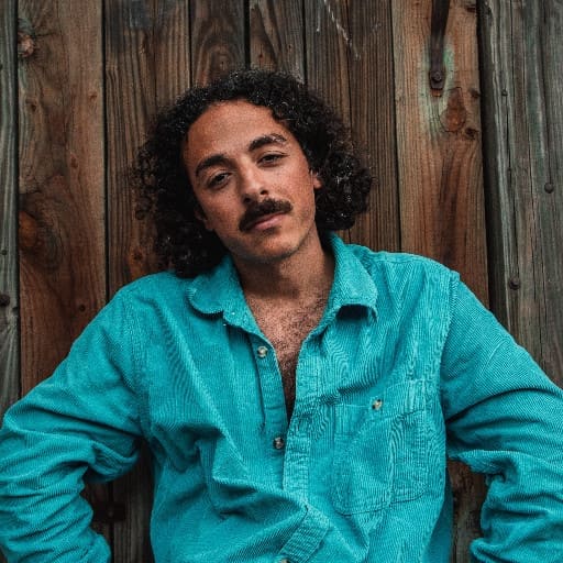 Anees - Artist Tickets