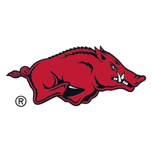 Arkansas Lady Razorbacks Women's Basketball Tickets
