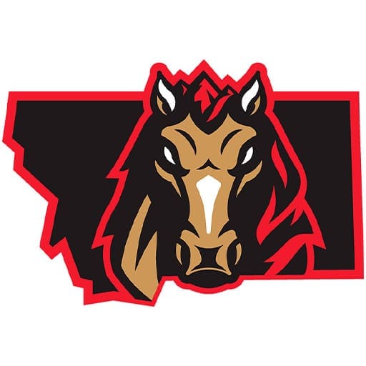 Billings Mustangs Tickets
