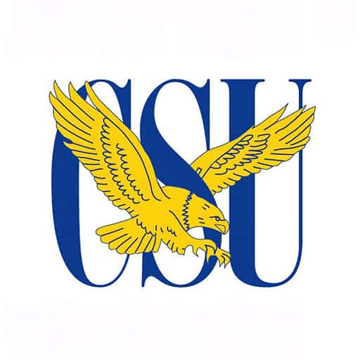 Coppin State Eagles Tickets