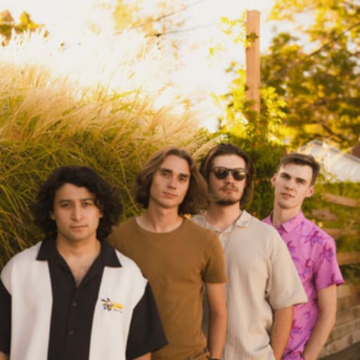 Flamingos in the Tree Philadelphia Tickets