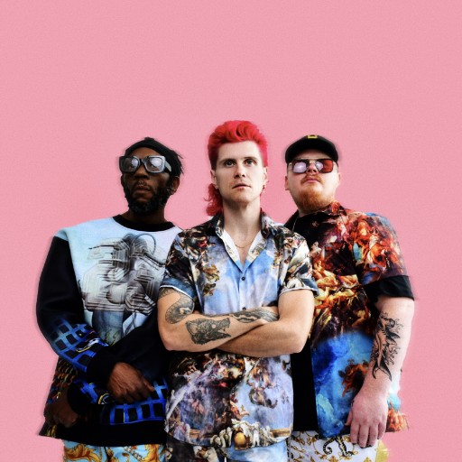 Too Many Zooz in Philadelphia